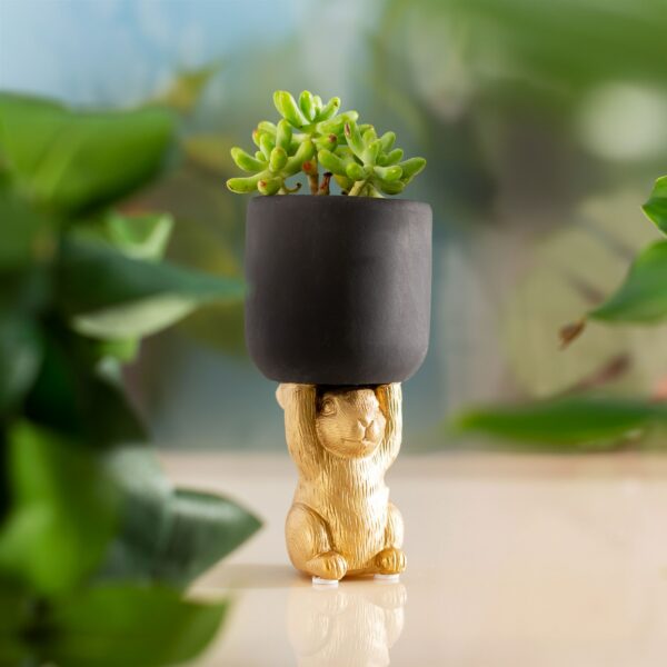 A painted golden bunny holds a matt black plant holder above his head with a green succulent plant in it on a wooden tabletop with blurry leaves in the background
