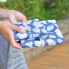 blue shell notebook set